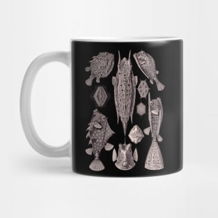 Ernst Haeckel Ostraciontes Fish Aubergine Mug